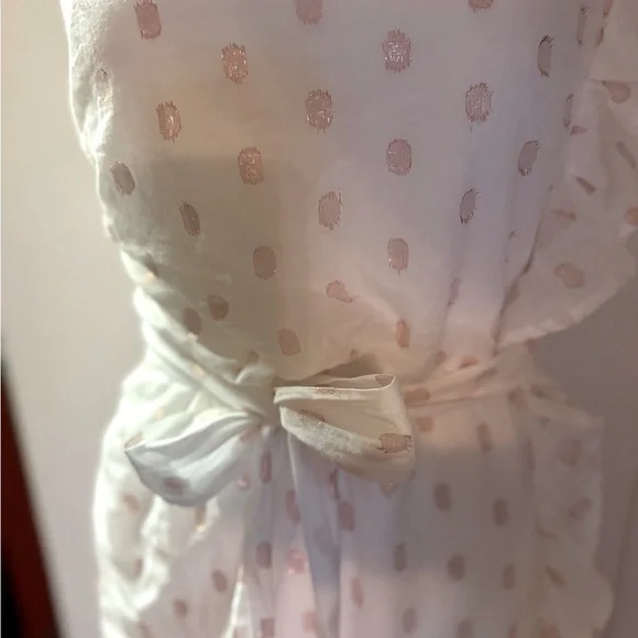 “LOVERS + FRIENDS” X Revolve Whitney Rose Dress - Picture 10 of 16